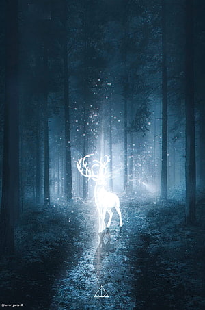 Harry Potter Patronus Deer in a Misty Forest with Glowing Light and Snow HD phone wallpaper