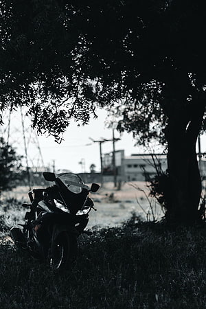 Black Yamaha R15 V3 sport motorcycle parked in shadow beneath a large tree HD phone wallpaper