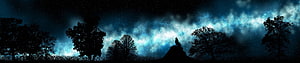 Majestic Night Sky with Silhouetted Trees and a Lone Figure on a Hill HD wallpaper