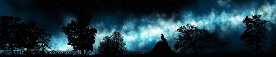 Majestic Night Sky with Silhouetted Trees and a Lone Figure on a Hill HD wallpaper