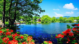Serene Lake Landscape Framed by Vibrant Red Azaleas and Lush Green Trees HD wallpaper