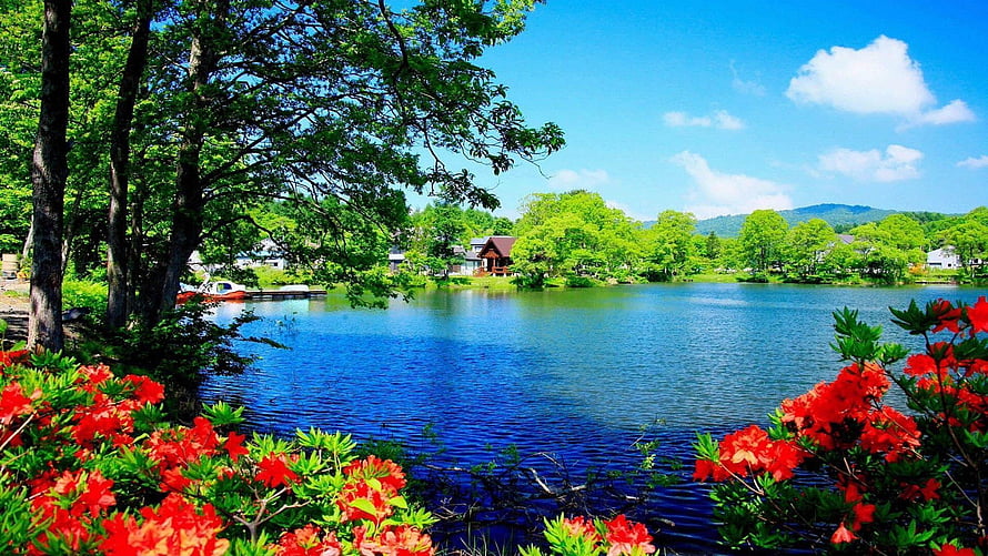 Serene Lake Landscape Framed by Vibrant Red Azaleas and Lush Green Trees HD wallpaper