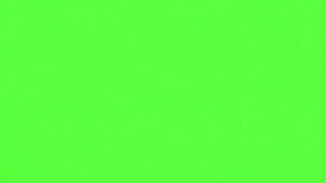 Vibrant Lime Green Screen Background with Subtle Texture and Minimalist Design HD wallpaper