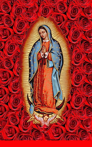 Virgin of Guadalupe religious icon set against a dense field of red roses HD phone wallpaper
