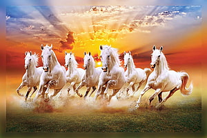 Seven White Horses Galloping Across a Golden Sunset Landscape HD wallpaper