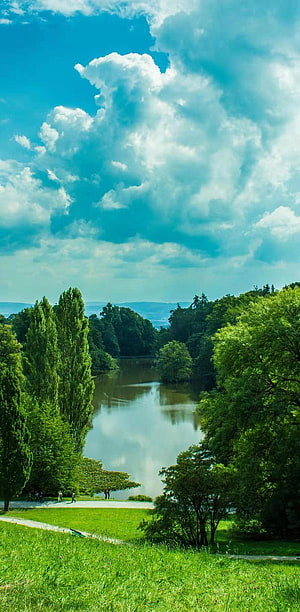 Serene Forest Lake with Lush Green Trees and Dramatic Cloudy Sky HD phone wallpaper