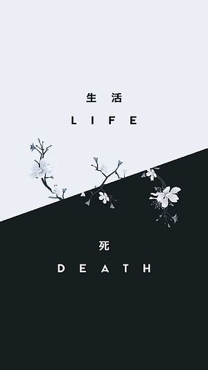 Minimalist Life and Death Concept with Cherry Blossoms on Black and White Background HD phone wallpaper