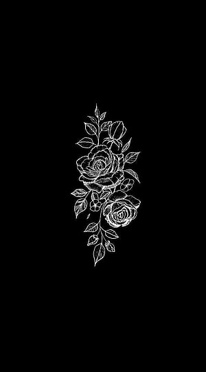 Elegant White Rose Line Art on Black Background, Minimalist Botanical Illustration HD phone wallpaper