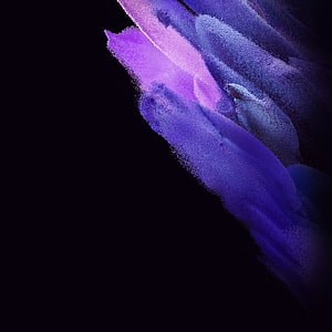 Vibrant Purple and Pink Particle Flow on Black Abstract Background HD phone wallpaper