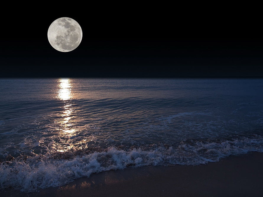 Full Moon Rising Over a Calm Ocean Beach at Night with Shimmering Water Reflections HD wallpaper