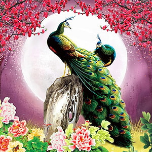 Vibrant Peacock Perched on Rock with Cherry Blossoms and Peonies HD phone wallpaper