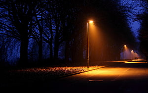 Moody Night Street Scene With Glowing Street Lamps And Silhouetted Trees HD wallpaper