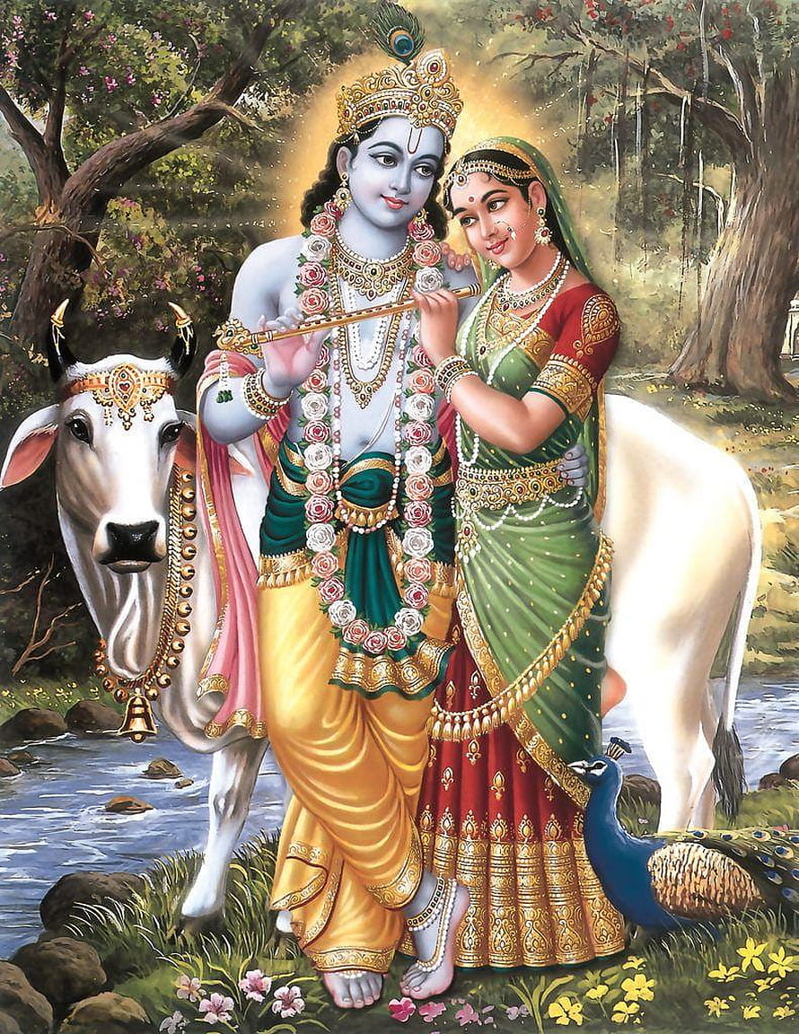 Radha Krishna Playing Flute in a Lush Forest with White Cow and Peacock HD phone wallpaper