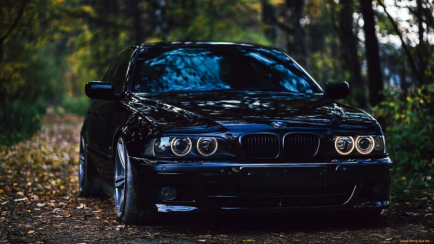 Black BMW E39 M5 Sedan Parked on a Forest Road with Autumn Foliage HD wallpaper