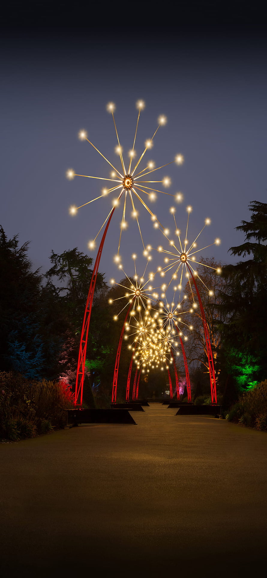 Illuminated Starburst Light Sculptures Lining a Garden Path at Night HD phone wallpaper
