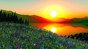 Vibrant Sunrise Over Mountain Lake With Wildflower Meadow And Pine Trees HD wallpaper