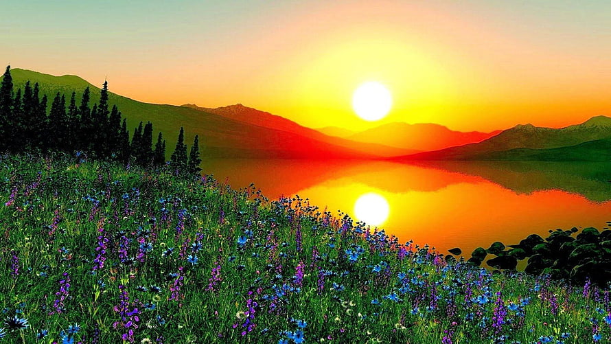 Vibrant Sunrise Over Mountain Lake With Wildflower Meadow And Pine Trees HD wallpaper