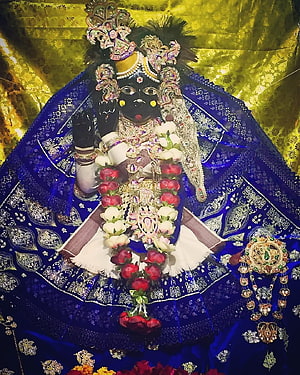 Bihar Baba Ji Murti Adorned in Royal Blue Silk and Floral Garlands HD phone wallpaper