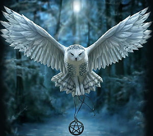 Harry Potter Hedwig Snowy Owl with Pentagram Pendant in Misty Forest HD wallpaper