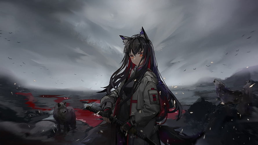 Texas from Arknights in a dark battlefield with wolves and a katana under stormy skies HD wallpaper