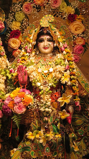 Radha Rani Murti Adorned in Vibrant Floral Garlands and Ornate Jewelry HD phone wallpaper