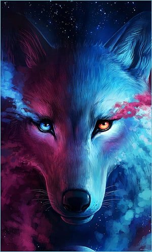 Cosmic Wolf Portrait with Heterochromia Eyes and Nebula Colors HD phone wallpaper