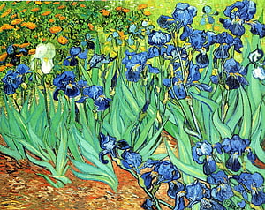 Vincent van Gogh Irises Painting with Vibrant Blue Flowers and Green Foliage HD wallpaper