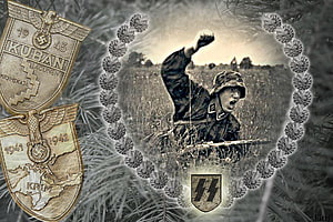 Waffen SS Soldier in Combat with Historical Military Campaign Medals HD wallpaper