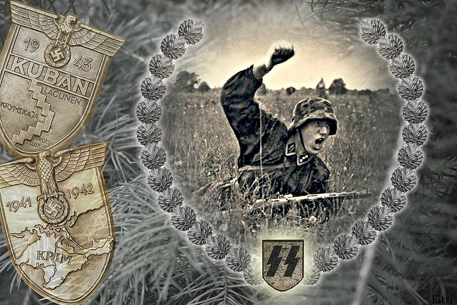 Waffen SS Soldier in Combat with Historical Military Campaign Medals HD wallpaper