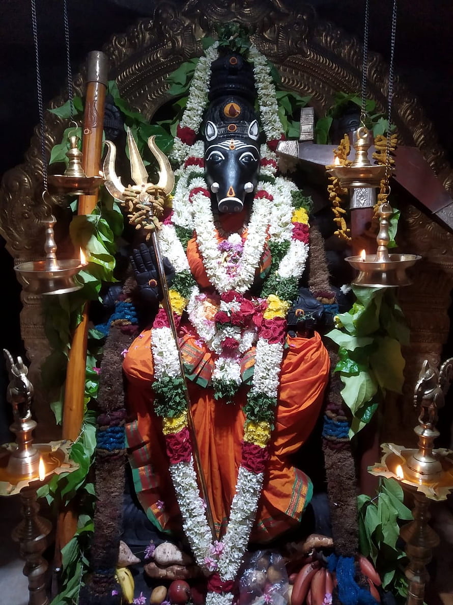 Varahi Amman Temple Idol Adorned With Flower Garlands And Brass Oil Lamps, Varahi Amman Still, #varahi HD phone wallpaper