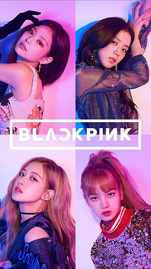 Blackpink K-Pop Group Portrait With Neon Pink And Blue Studio Lighting HD phone wallpaper