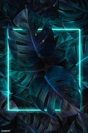 Monstera Leaves with Teal Neon Frame on Dark Background HD phone wallpaper