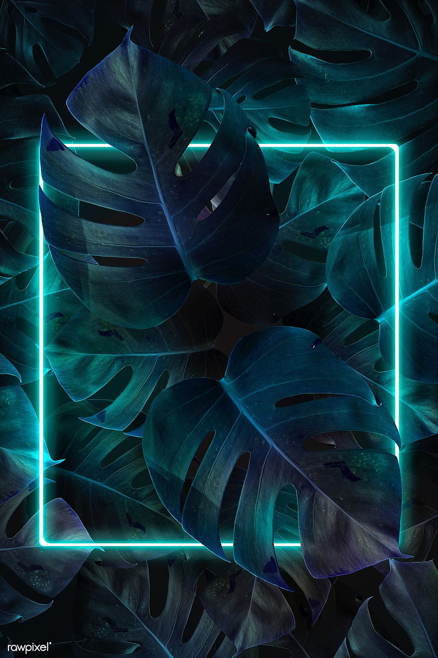 Monstera Leaves with Teal Neon Frame on Dark Background HD phone wallpaper