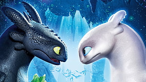 Toothless and Light Fury Face Off in How to Train Your Dragon: The Hidden World HD wallpaper
