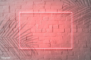 Glowing Pink Neon Rectangle Frame on Textured Brick Wall with Tropical Leaf Shadows HD wallpaper