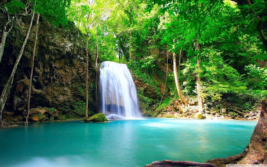 Serene Tropical Waterfall Cascading Into a Turquoise Pool Surrounded by Lush Jungle Foliage HD wallpaper