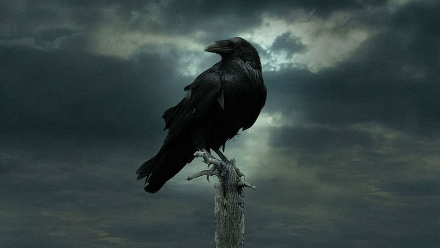 Black Raven Perched on Weathered Post Against Stormy Clouds HD wallpaper