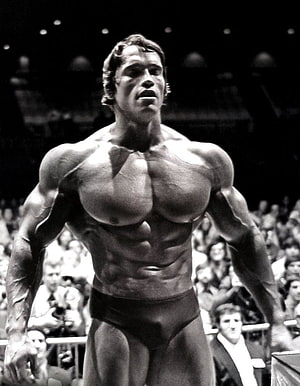 Arnold Schwarzenegger Classic Bodybuilding Pose in Black and White HD phone wallpaper