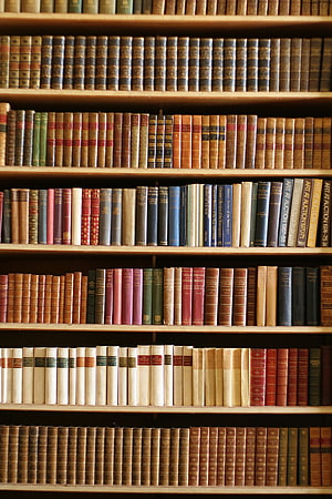 Vintage leather-bound books neatly arranged on wooden library shelves HD phone wallpaper