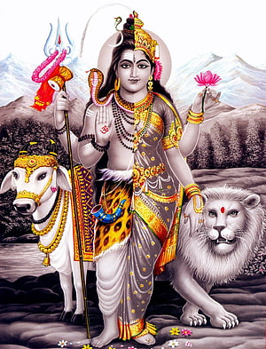 Ardhnarishwar Shiva Parvati Divine Form With Nandi And Lion HD phone wallpaper