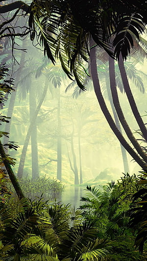 Misty Tropical Rainforest with Tall Palm Trees and Lush Green Foliage HD phone wallpaper