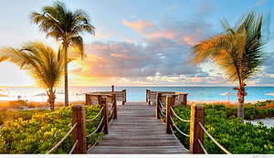 Tropical Beach Boardwalk at Sunset with Palm Trees and Ocean View HD wallpaper