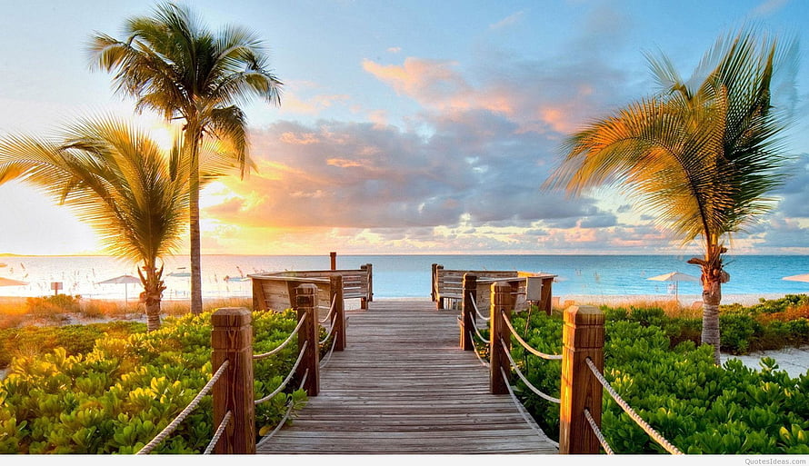 Tropical Beach Boardwalk at Sunset with Palm Trees and Ocean View HD wallpaper