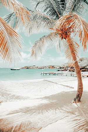 Tropical Beach Scene With Palm Tree, Hammock, and Turquoise Water HD phone wallpaper