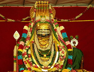 Annamalaiyar deity adorned with vibrant flower garlands and gold ornaments at Thiruvannamalai temple HD wallpaper