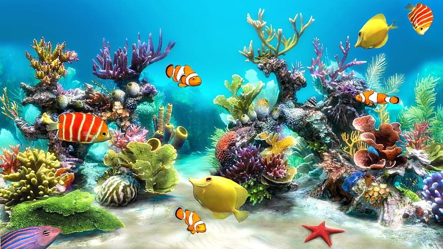 Vibrant Coral Reef Scene With Clownfish, Yellow Tangs, and Colorful Marine Life HD wallpaper
