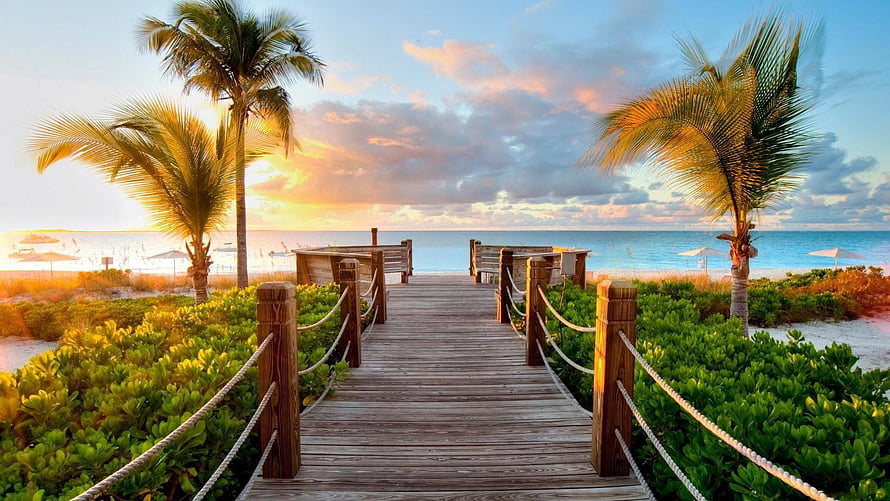 Tropical Beach Boardwalk at Golden Hour with Palm Trees and Ocean View HD wallpaper