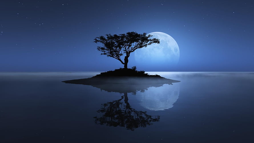 Solitary Tree on Misty Island Under a Full Moon at Night HD wallpaper