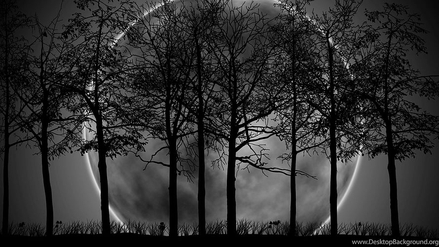 Silhouetted bare trees against a glowing full moon in a moody black and white landscape HD wallpaper
