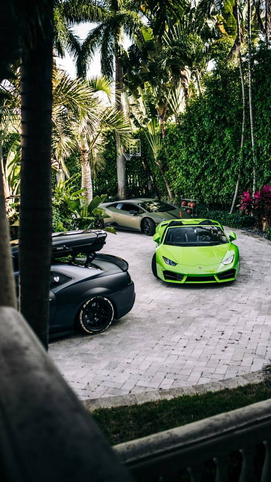 Lamborghini Huracan Spyder and Modified Supercars in Tropical Garden HD phone wallpaper
